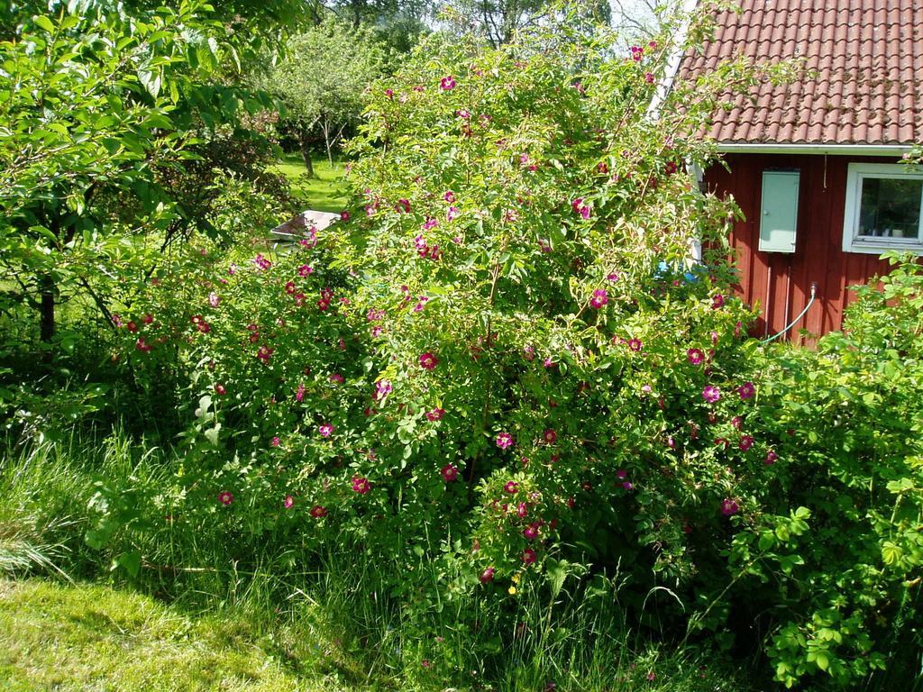 Langesater B&B Lerdala Eksteriør billede